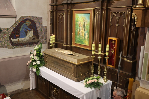 Msza św. w dniu wspomnienia liturgicznego bł. Rodziny Ulmów – Markowa, 7 lipca 2024. Fot. Katarzyna Gajda-Bator (IPN)