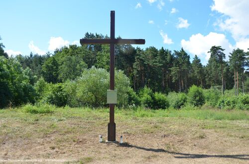 Prace poszukiwawcze w Kolczynie. Fot. IPN