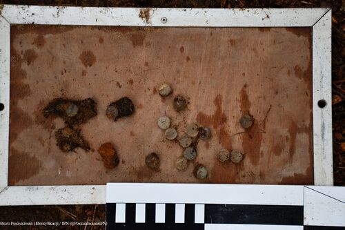 Prace poszukiwawcze w Kolczynie. Fot. IPN